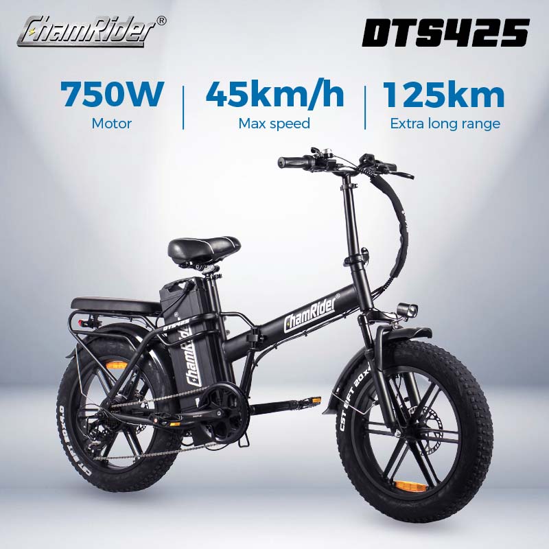 ChamRider DTS425 Ebike – 48V 25Ah Battery, 125KM Range, 750W Motor – Best Value Choice for European Food Delivery Riders