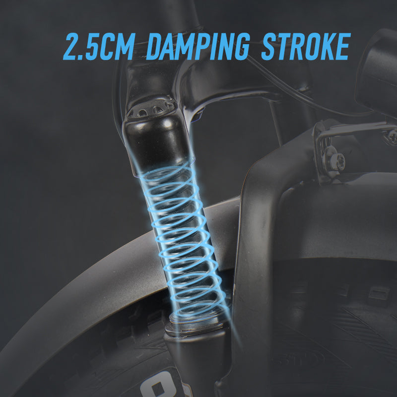 ChamRider DTS425 Ebike – 48V 25Ah Battery, 125KM Range, 750W Motor – Best Value Choice for European Food Delivery Riders