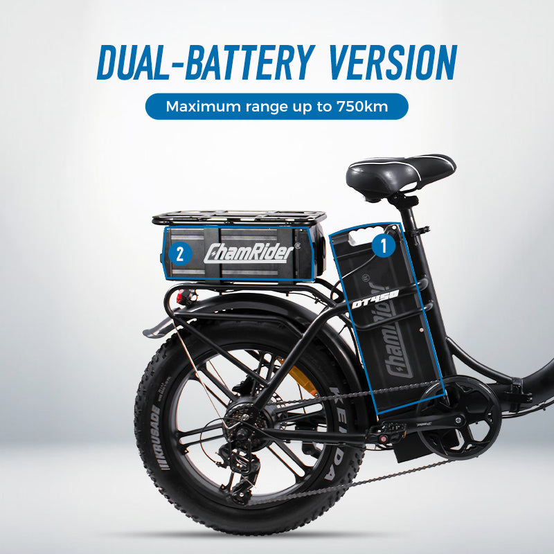ChamRider DT450 Ebike – 48V 50Ah Monster Battery, 250KM Range, 750W Motor – Ultimate Choice for European Delivery Experts como este