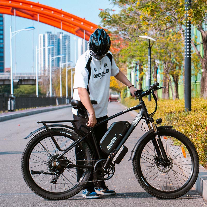 ChamRider DM427 Ebike – 27.5" 48V 27Ah Battery, 60-90KM Range, 750W Motor – Ideal Lightweight Commuter & Delivery E-MTB