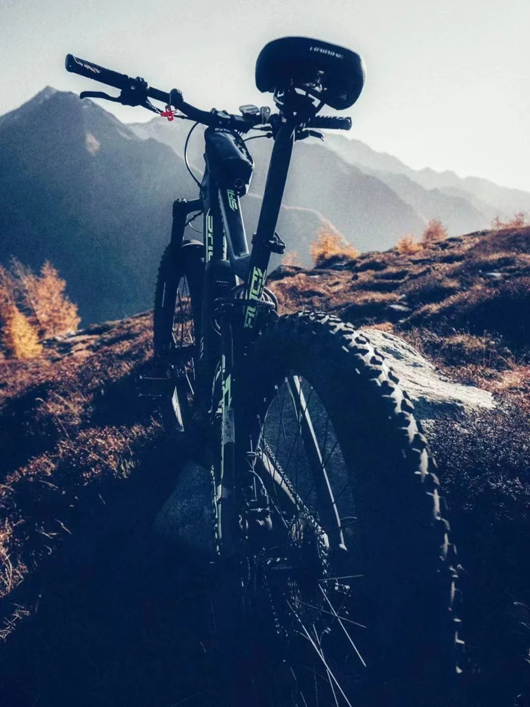 MAXXIS PACE(M333) Bicycle Wire Tire Original 26/27.5/29 Mountain Bike Anti Puncture Fetus Tyre For MTB