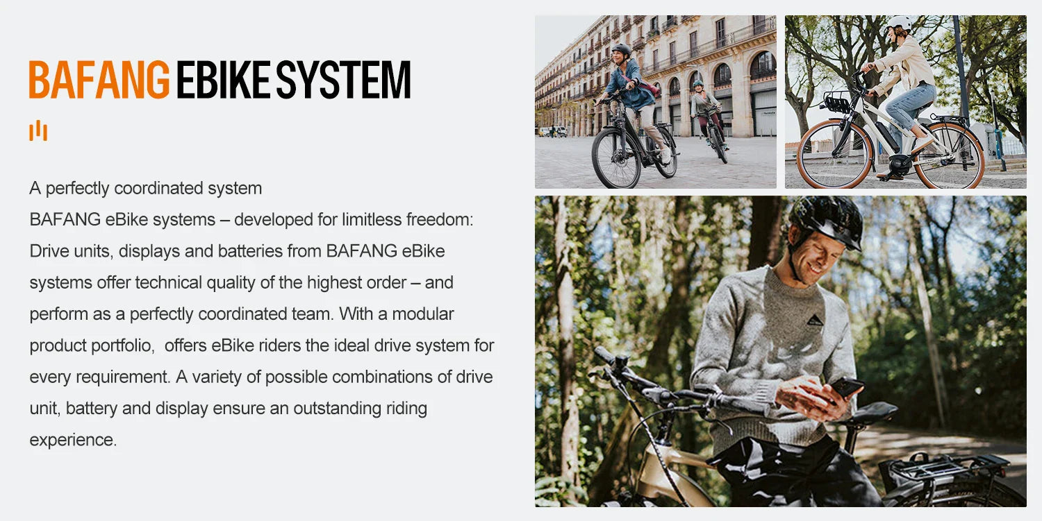 29" / 700C 48V 750W Rear Hub Motor Kit – Cassette Compatible E-Bike Conversion